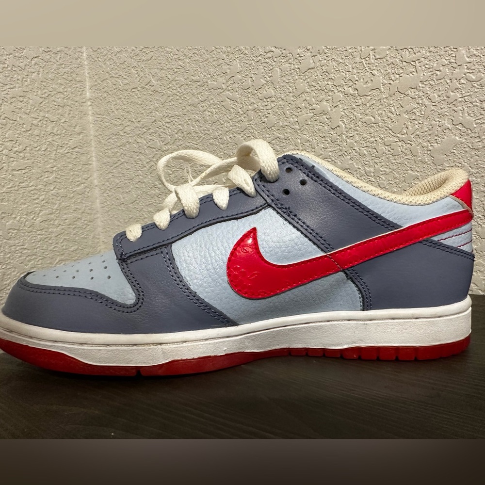 Women’s Nike Dunk